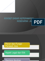 Peran Dan Fungsi Perawat Jiwa