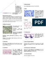 Histology Stains