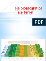 Zonele Biogeografice Ale Terrei