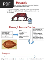 Hepatitis