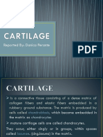 Cartilage