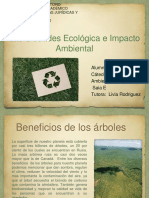 Ciudades Ecológicas e Impacto Ambiental