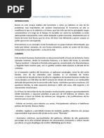 Ensayo Sobre El Terrorismo en El Peru