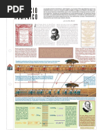 Artificio Numerico PDF