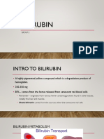 Bilirubin Group2