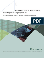 Forrester White Paper The CIO Guide To Big Data Archiving