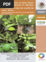 3883 Índice de Cosecha en Limón Persa y Naranja Valencia en Morelos