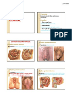 Sistema Genital Med