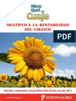 Microquel-Amin Cuaje Girasol