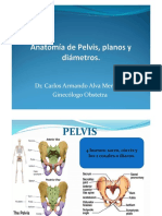 Anatomía de Pelvis, Planos y Diámetros