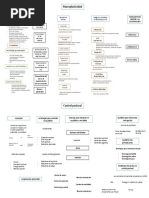 Mapa Conceptual de NEUROPLASTICIDAD