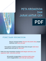 Lect7 Peta Kromosom