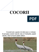 COCORII