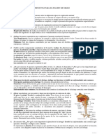 Cuestionario Del Examen de Grado de Anatomia