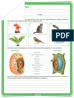 TALLER+PLATAFORMA+6 Biologia