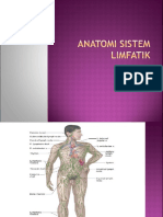 Sistem Limfatik 1