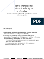 Ambiente Transicional, Plataformal e de Águas Profundas