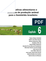 Alternativas Alimentação Semi Arido