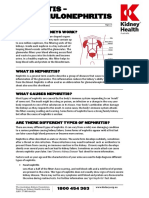 Nephritis Fact Sheet