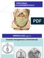 Curs Peritoneul Supramezocolic