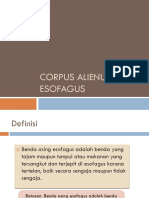 Corpus Alienum Esofagus