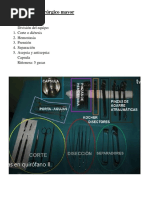 Instrumental Quirúrgico Mayor