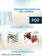 Lesiones de Hombro