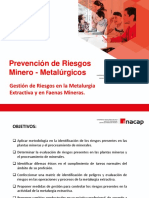 Gestión de Riesgos en La Metalurgia Extractiva