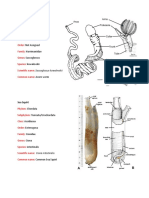 Comparative Vertebrate Anatomy