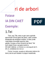 Tipuri de Arbori