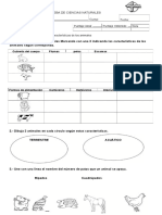 Prueba de Ciencias Naturales Curso:: Objetivo: Clasificar y Reconocer Características de Los Animales