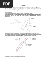 Estima Grafica (Patrones)