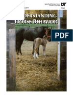 UnderstandingHorseBehavior PDF