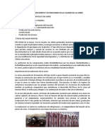 Proceso de Rigor Mortis y Alteraciones en La Calidad de La Carne