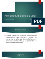 Perspectiva Del Ciclo Vital