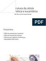 Estrutura Da Célula Procariótica e Eucariótica Aula 3 PDF