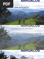 Arhuacos Exposicion de Español