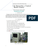 Informe Gantry