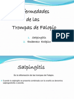 Enfermedades de Las Trompas de Falopio