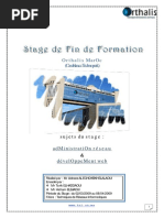 Rapport Stage Fin Formation Tri