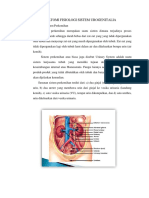 Anatomi Fisiologi Sistem Urogenitalia