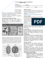 Guia 2 La Celula