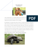 Descriptive Text: Report Text About Turtle - Giant Tortoise Galapagos