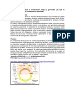 Glucolisis Anaerobia (Preguntas) Lab.