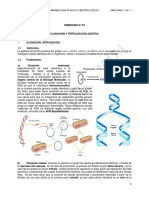 Seminario 3 PDF