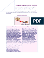 As Estruturas Cerebrais Na Formação Das Emoções