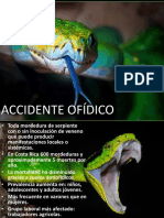 Accidente Ofídico