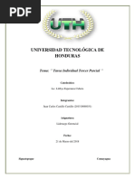 Tarea Individual Liderazgo '' 3 Parcial ''