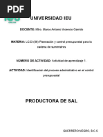 Productora de Sal