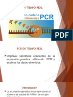 Optimizacion Del PCR en Tiempo Real